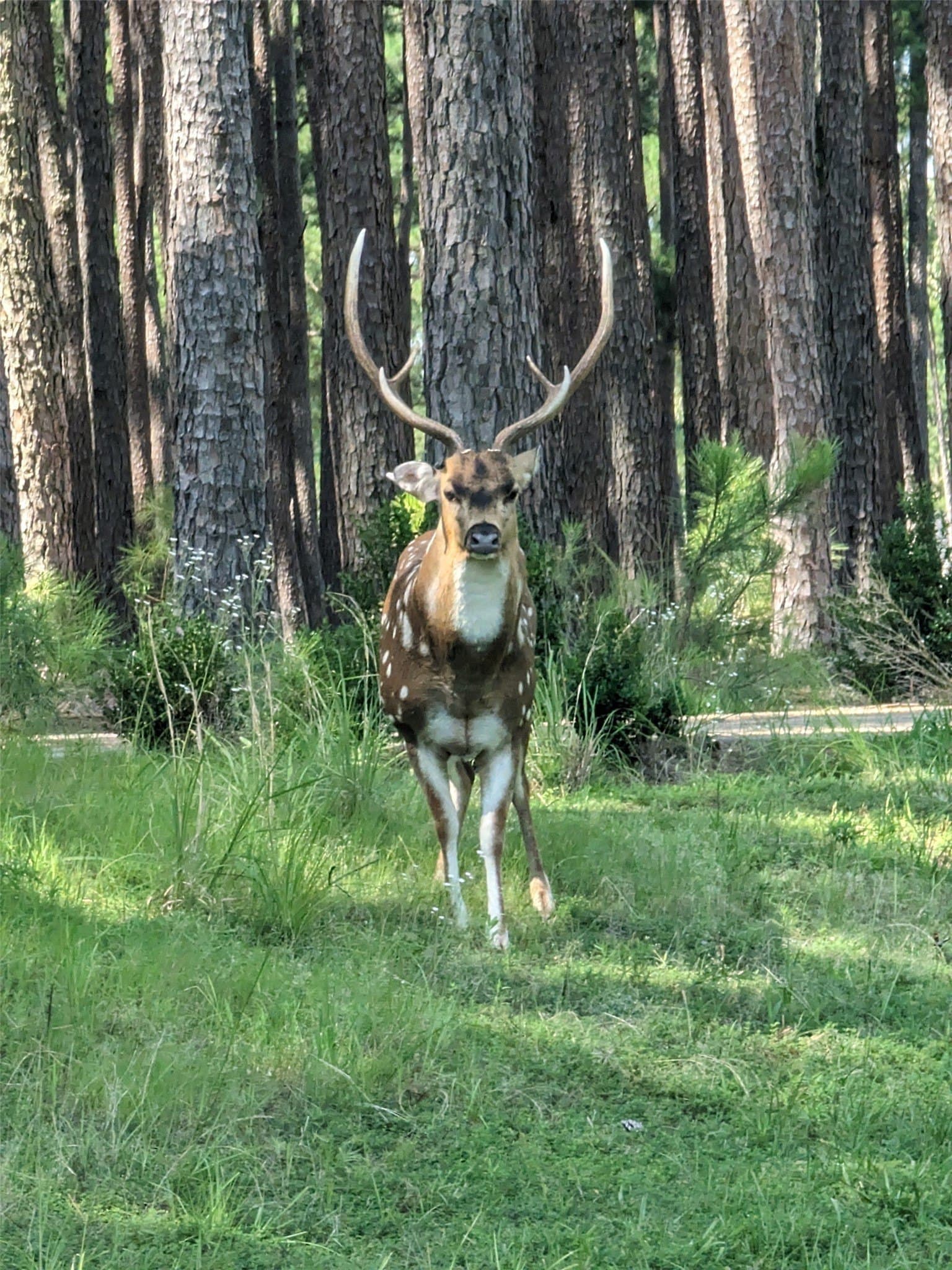 2.11 acres in Henderson County - photo 22