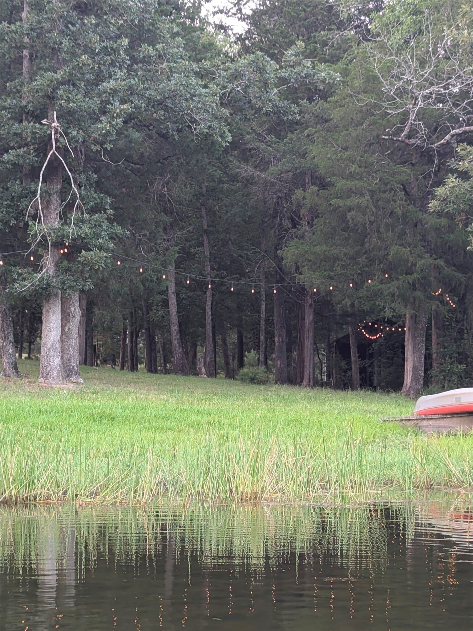 2.11 acres in Henderson County - photo 13