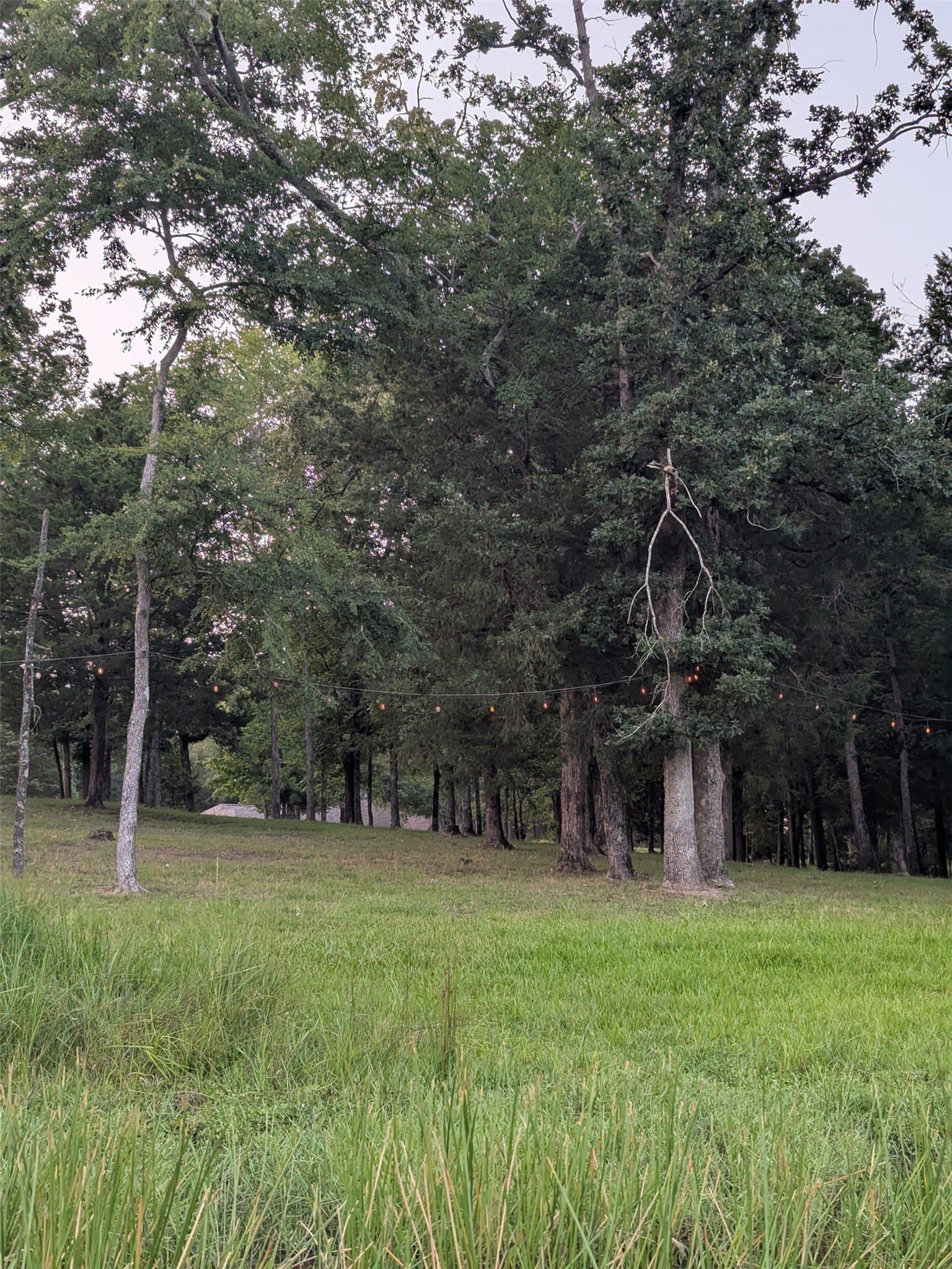 2.11 acres in Henderson County - photo 14