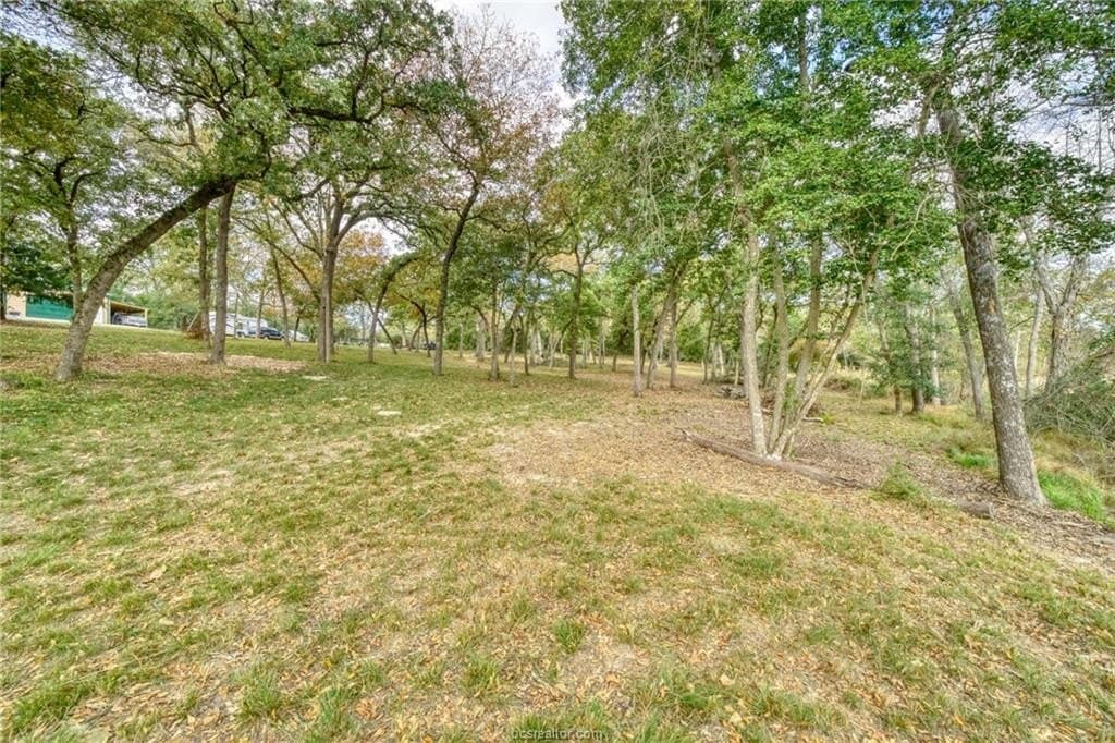 0.76 acres in Robertson County - photo 3