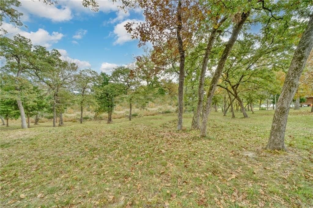 0.76 acres in Robertson County - photo 12