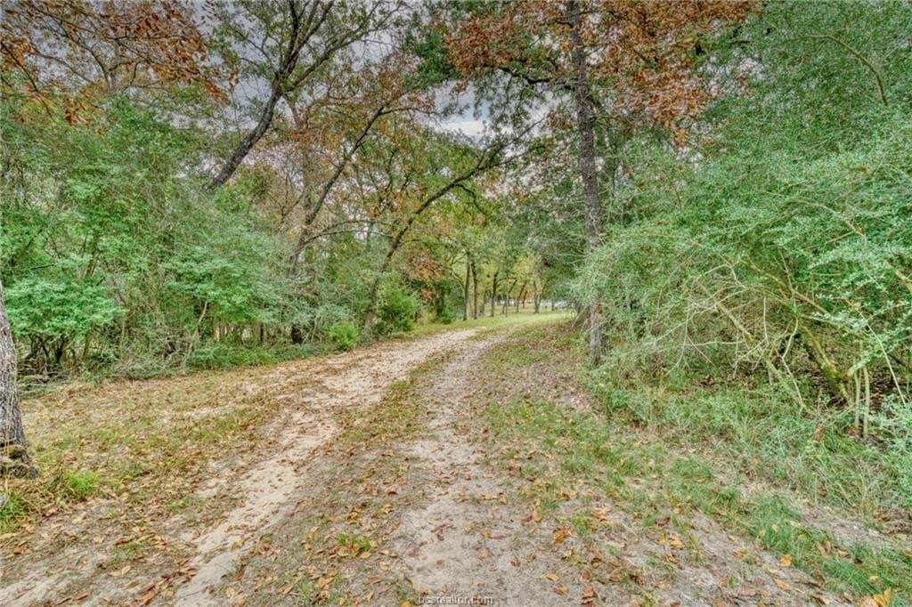 0.76 acres in Robertson County - photo 2