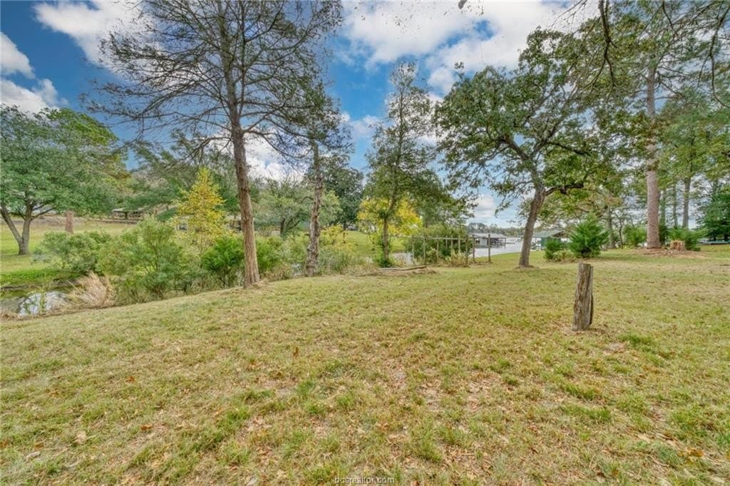 0.76 acres in Robertson County - photo 13