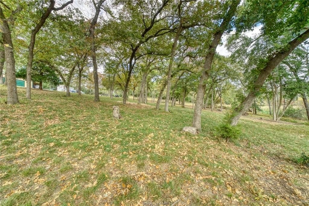 0.76 acres in Robertson County - photo 5