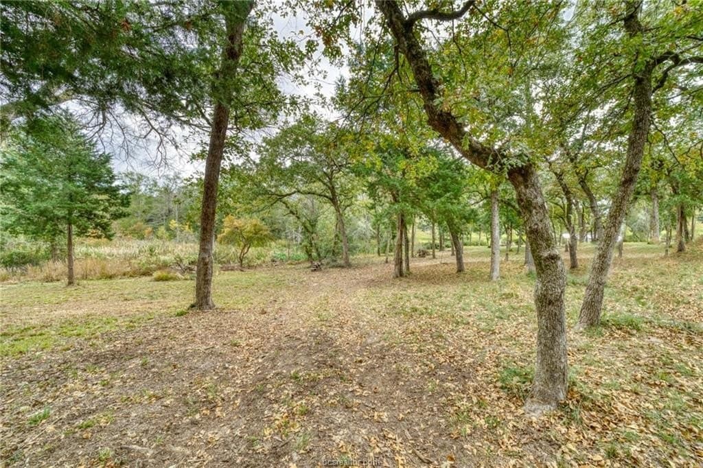 0.76 acres in Robertson County - photo 11