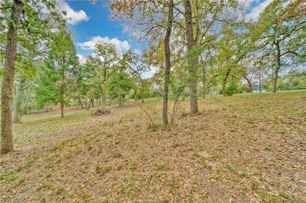 0.76 acres in Robertson County - photo 10