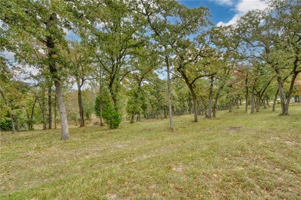 0.76 acres in Robertson County - photo 6