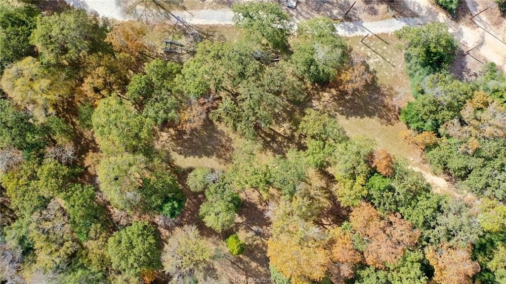 0.76 acres in Robertson County - photo 18
