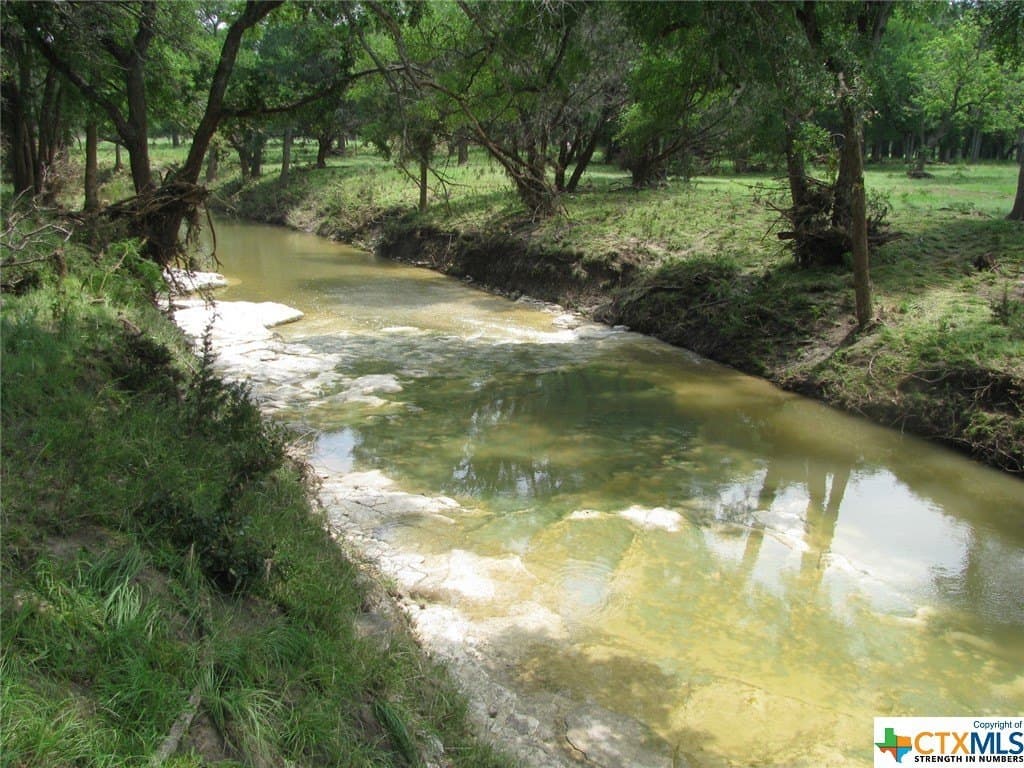 10.01 acres in Coryell County gallery image 2