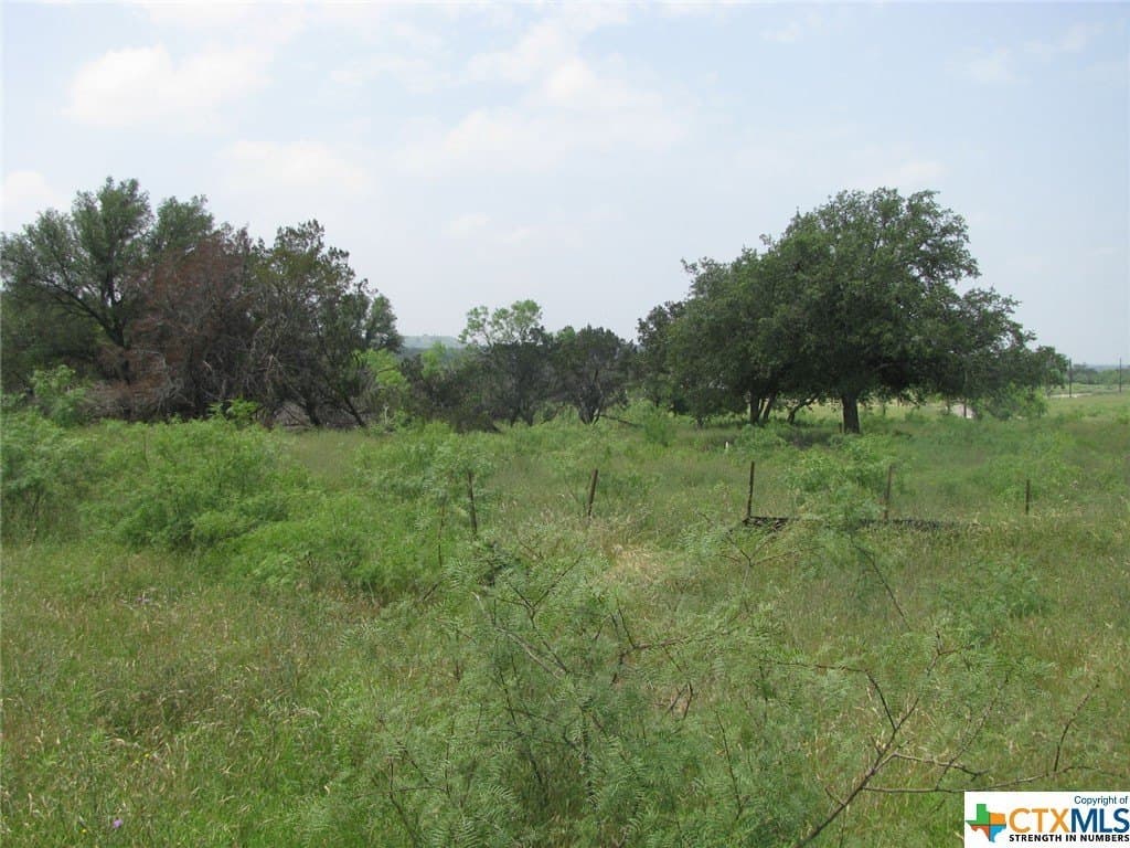 10.01 acres in Coryell County gallery image 4