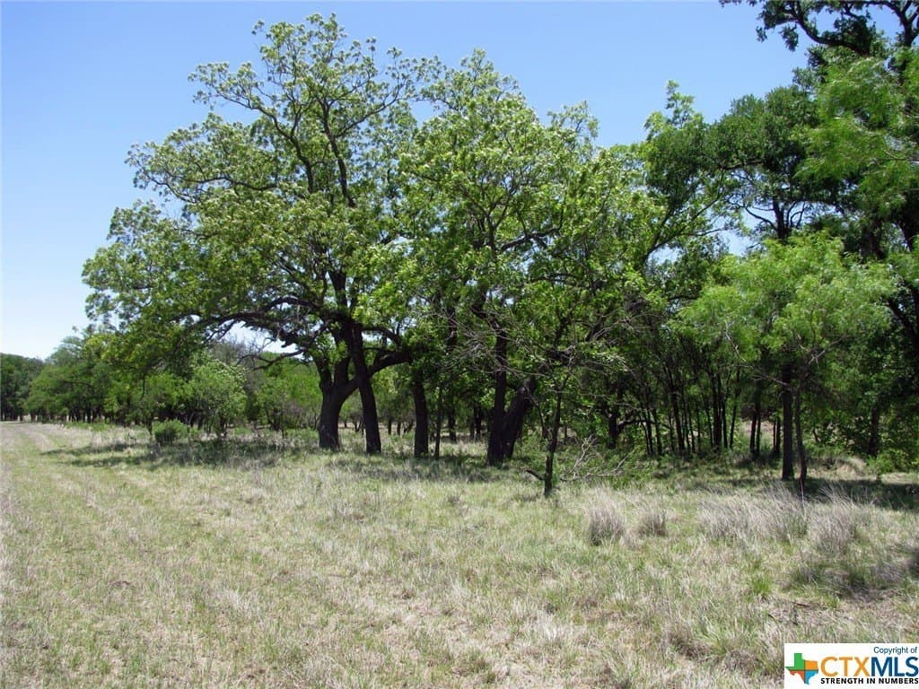 10.01 acres in Coryell County gallery image 3