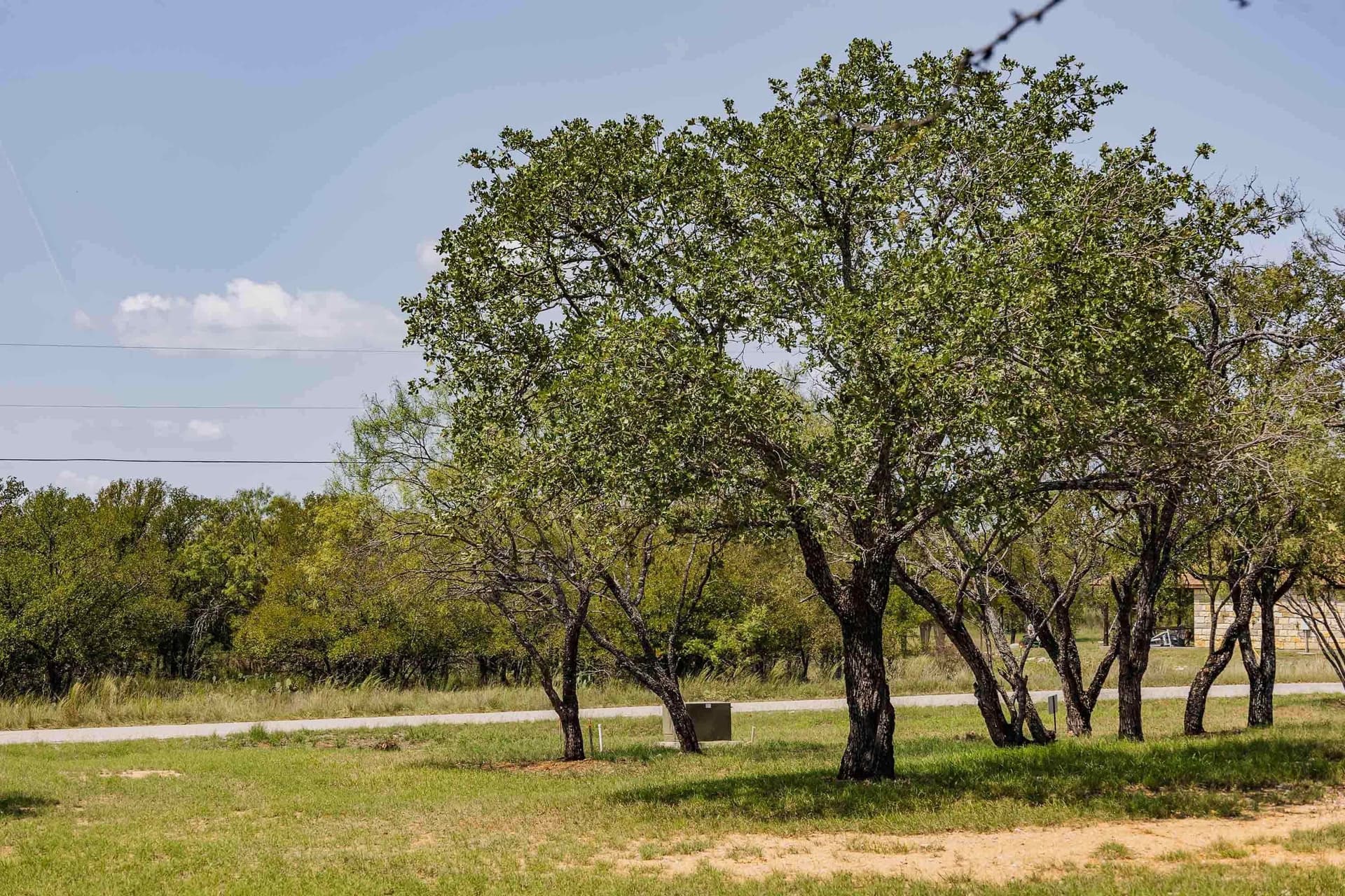 0.42 acres in Llano County - photo 15