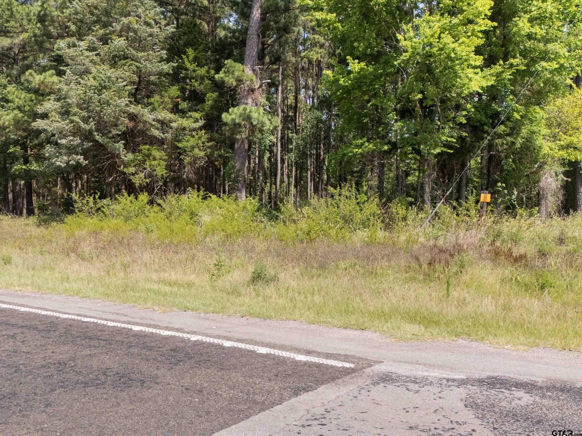 5.5 acres in Upshur County - photo 4