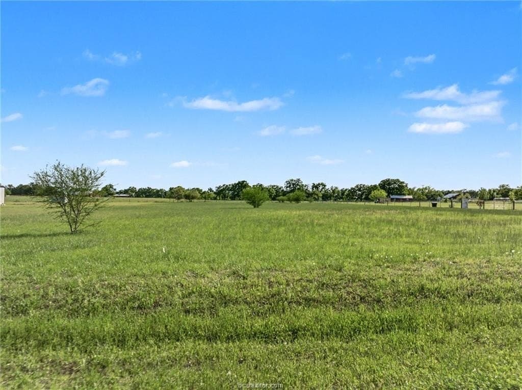 2 acres in Brazos County gallery image 3