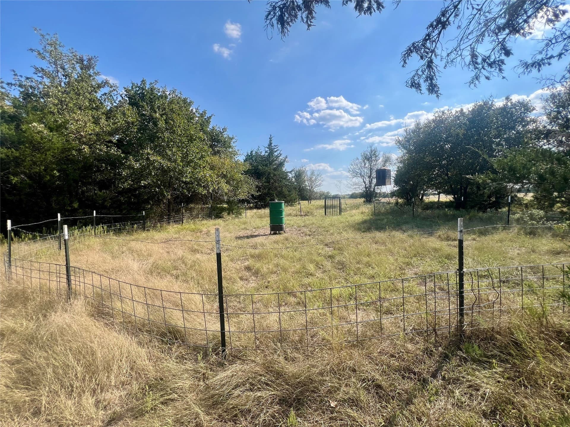 94.35 acres in Navarro County - photo 7