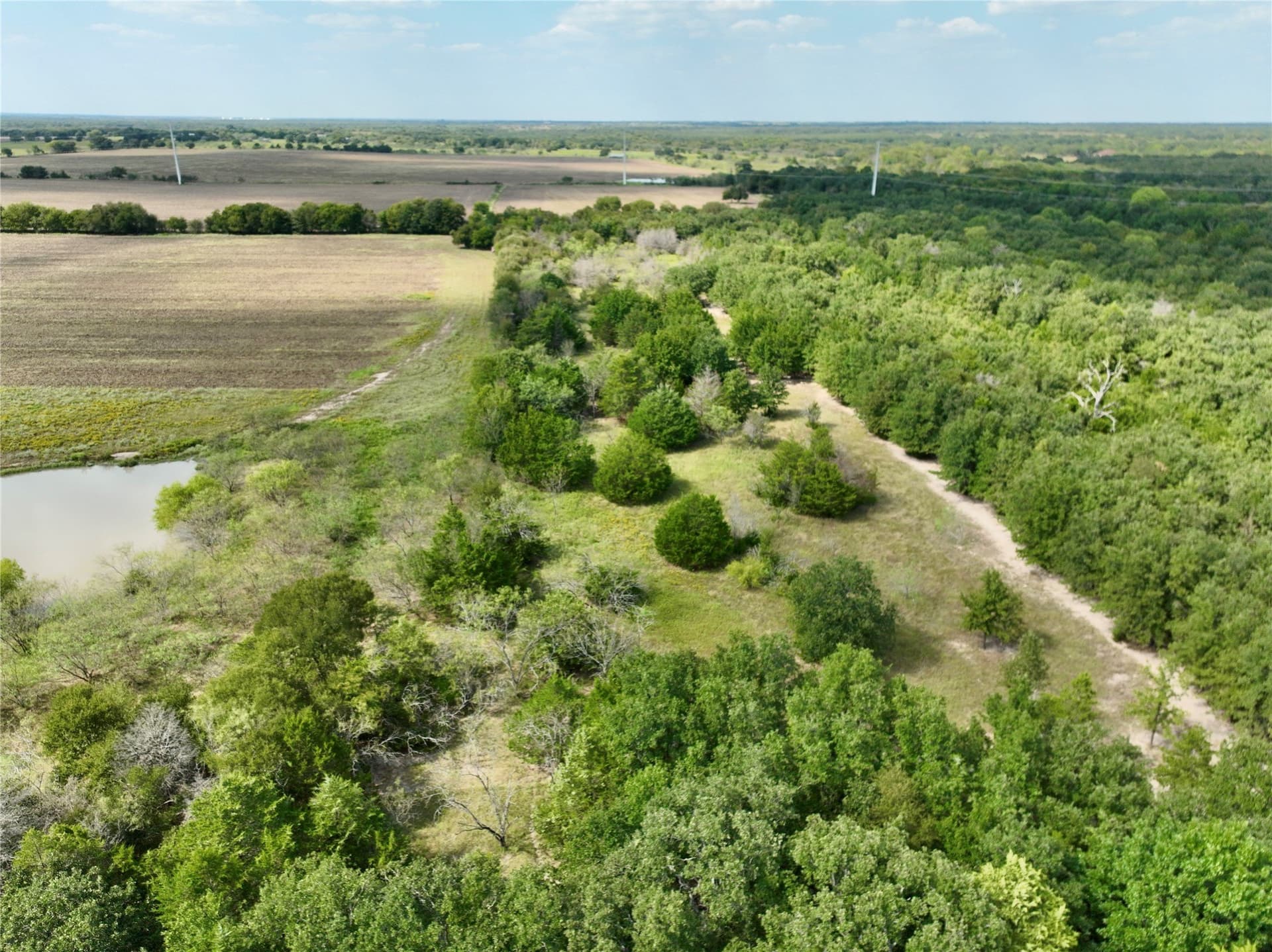 93.87 acres in Navarro County featured view