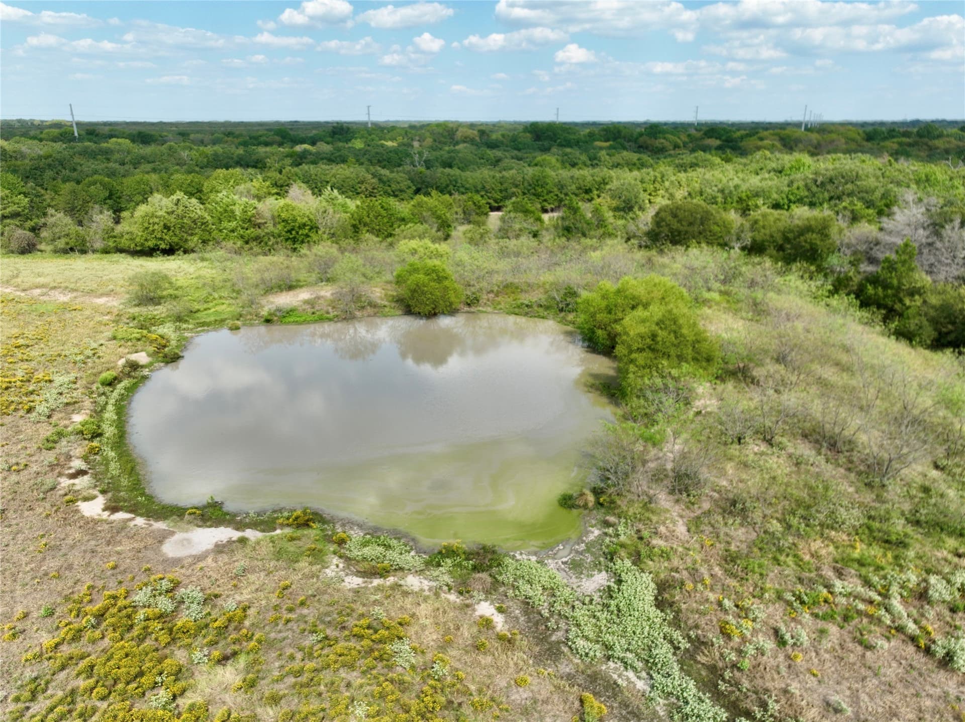 94.35 acres in Navarro County - photo 10