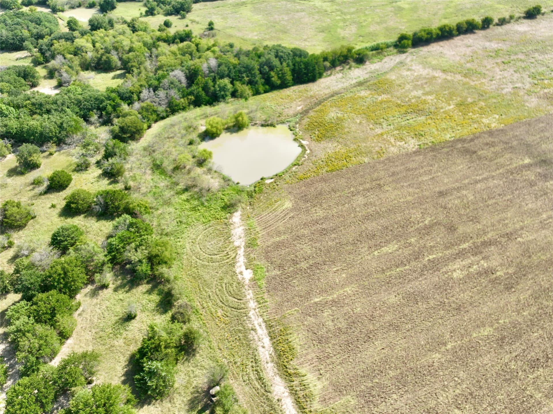 94.35 acres in Navarro County - photo 13