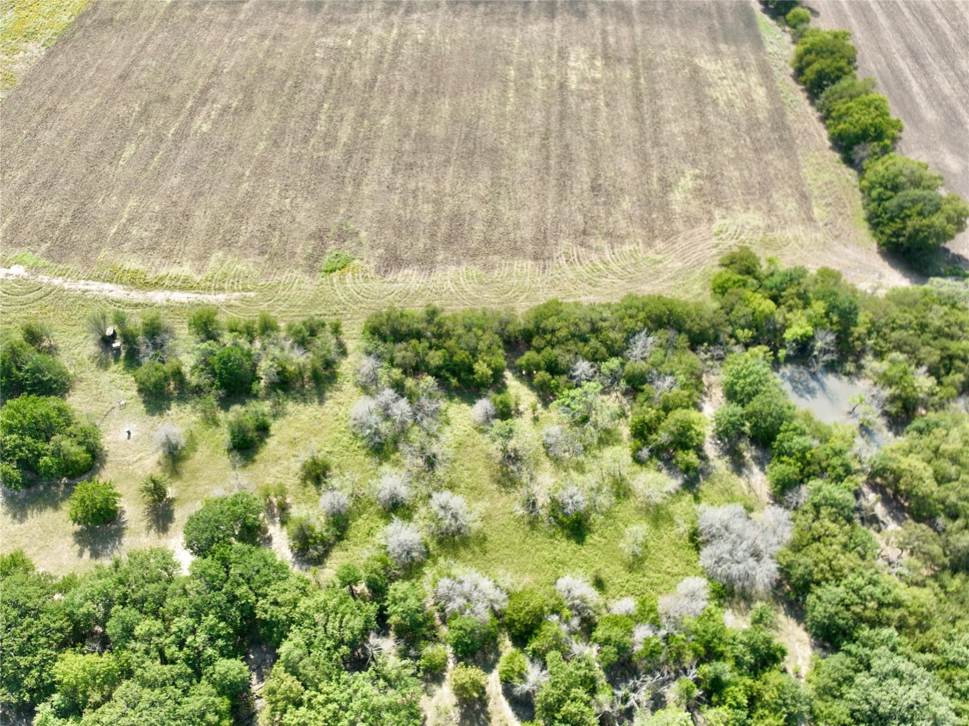 94.35 acres in Navarro County - photo 6