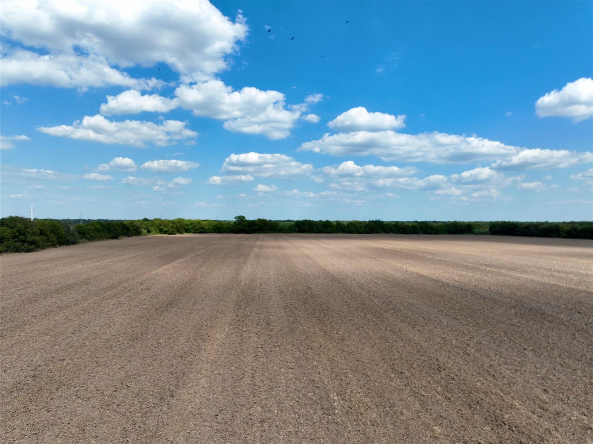 94.35 acres in Navarro County - photo 15