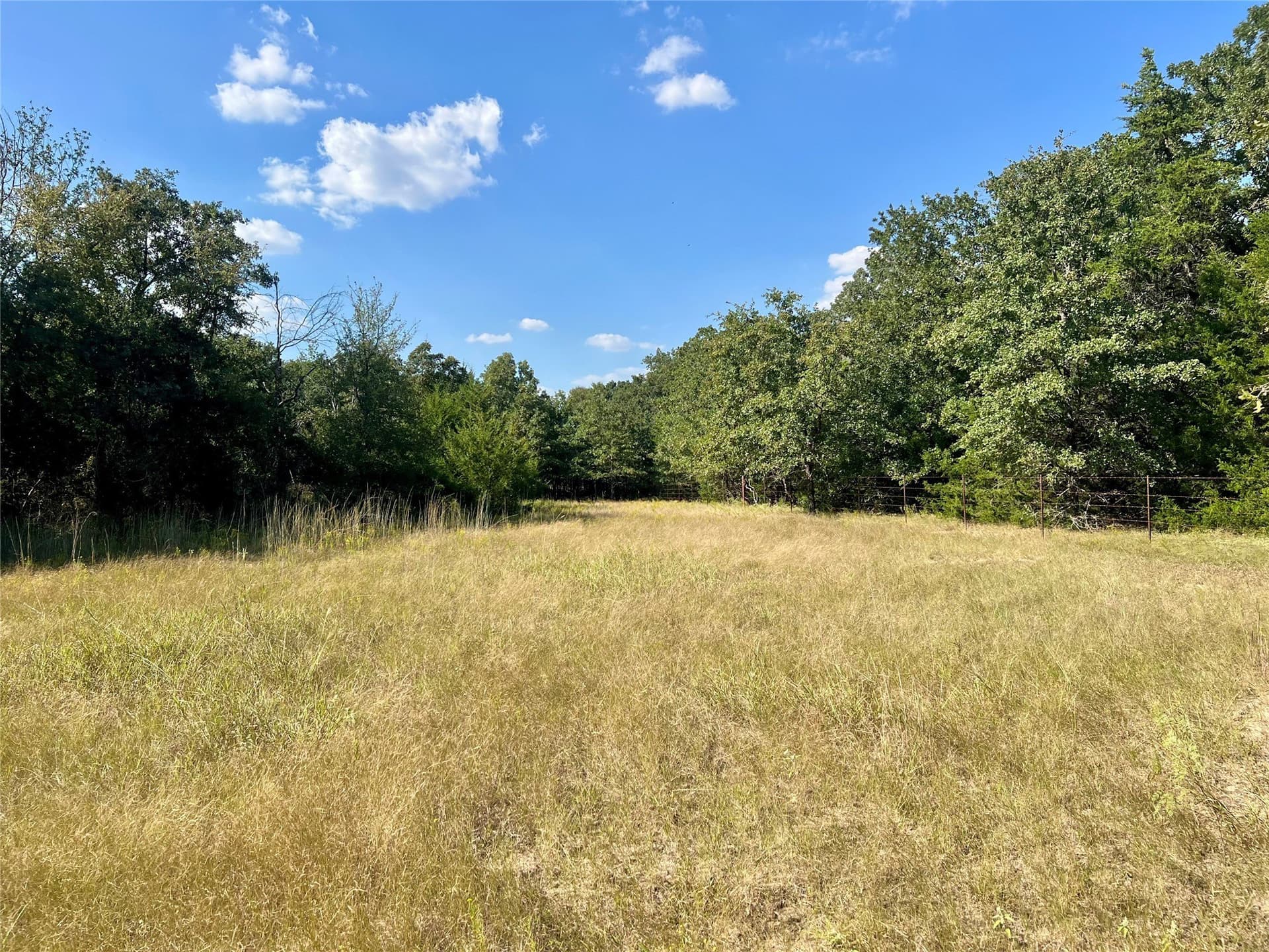 94.35 acres in Navarro County - photo 8
