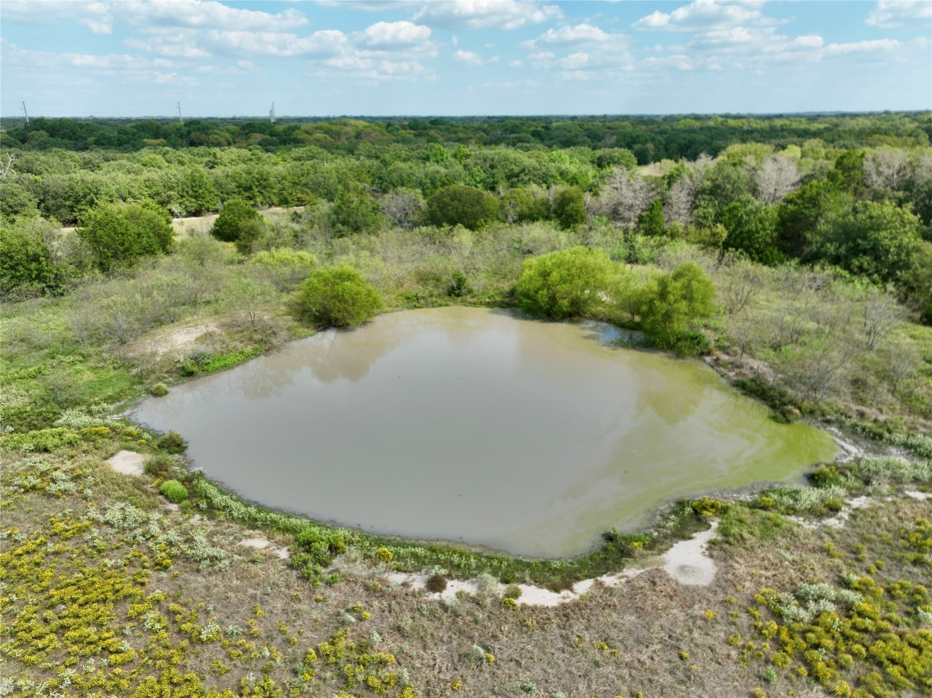 94.35 acres in Navarro County - photo 11