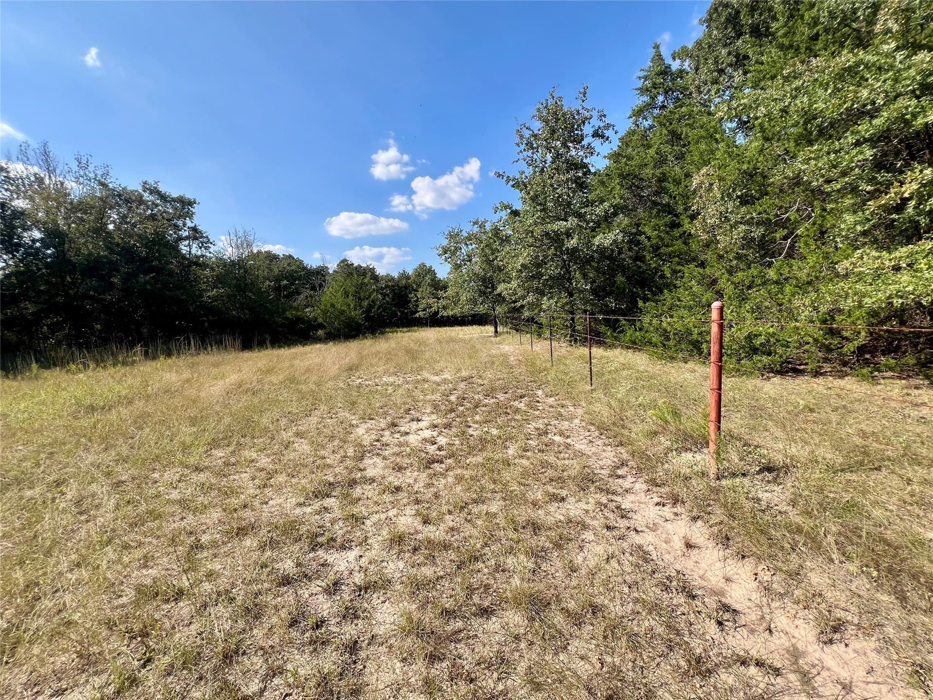 94.35 acres in Navarro County - photo 9