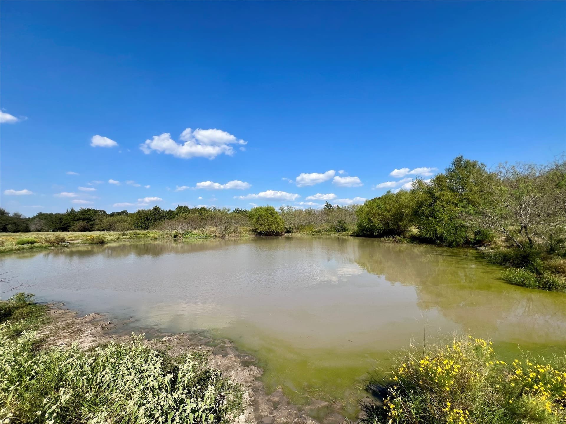 94.35 acres in Navarro County - photo 12