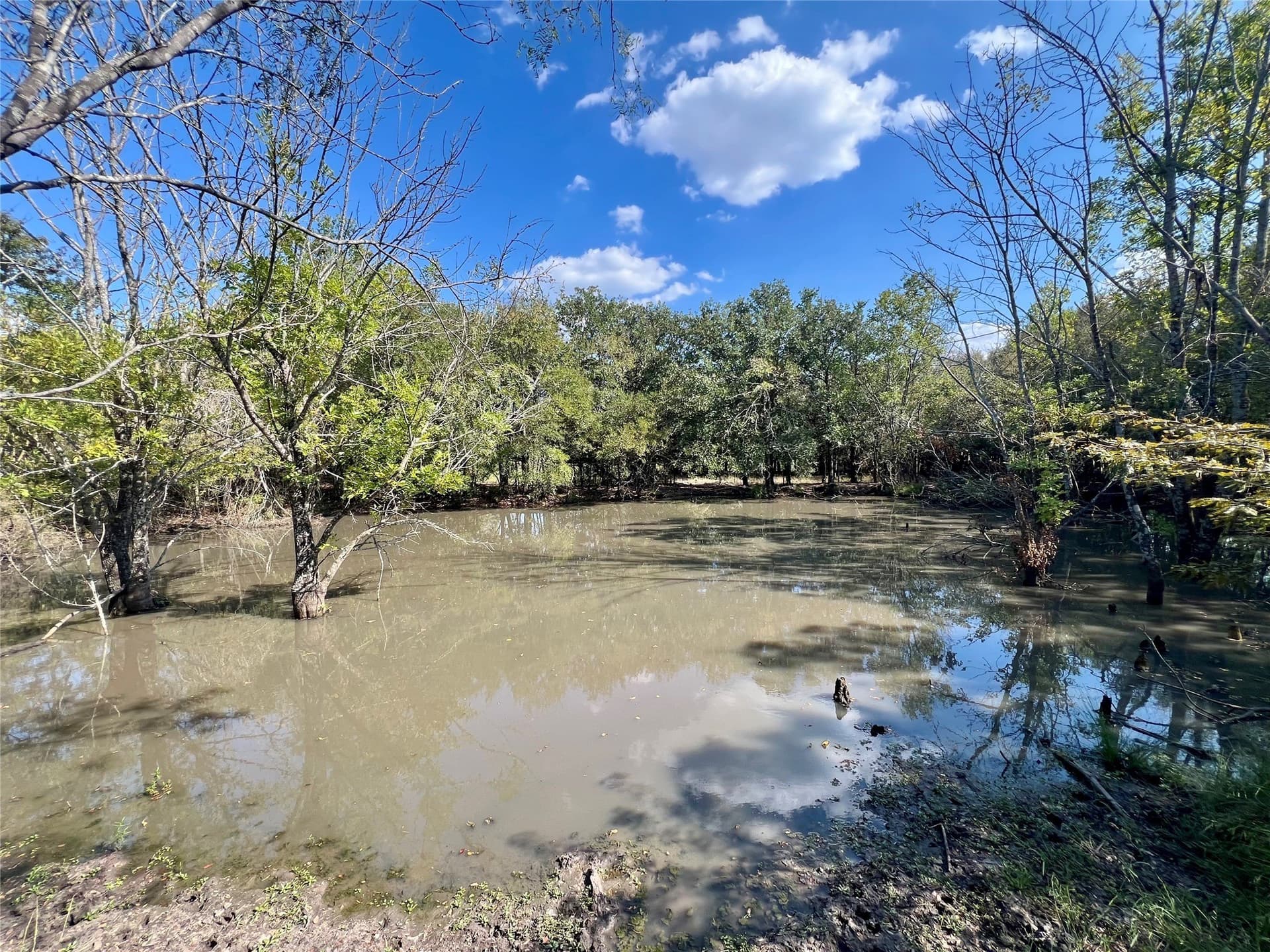 94.35 acres in Navarro County - photo 14
