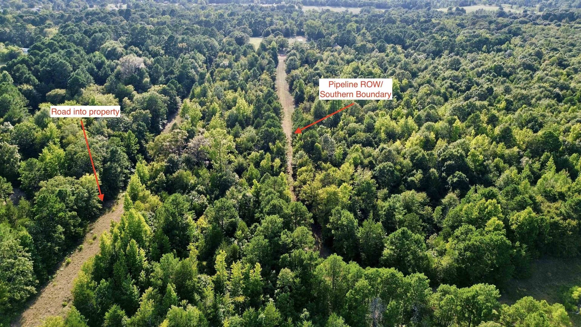 65.3 acres in Upshur County - photo 6
