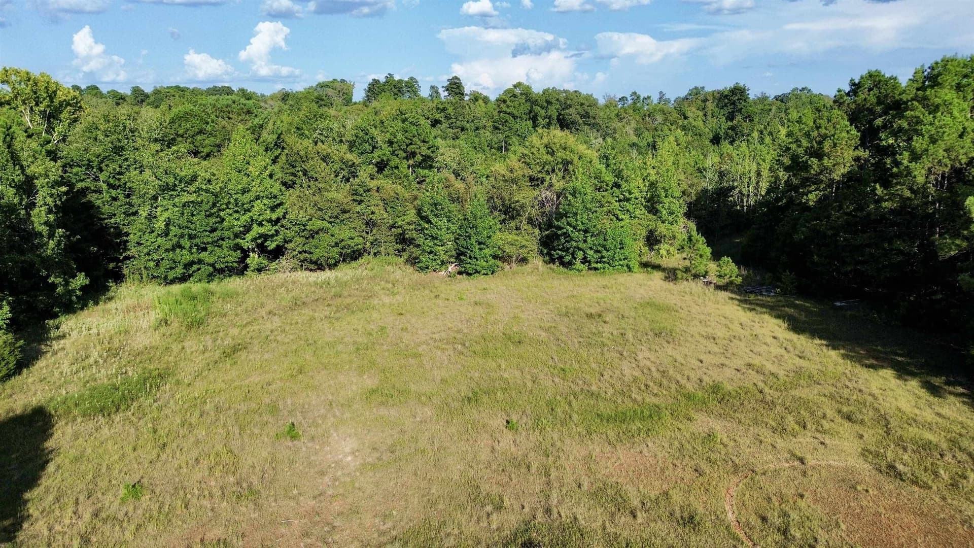 65.3 acres in Upshur County gallery image 3