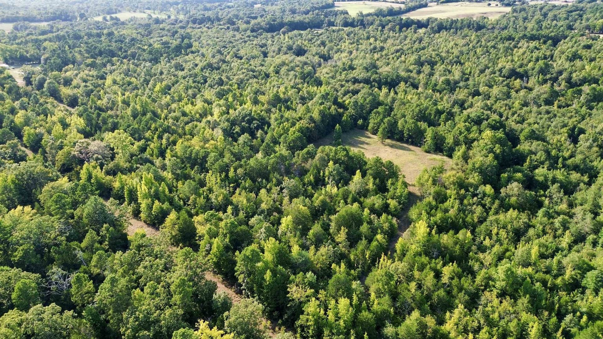 65.3 acres in Upshur County - photo 7