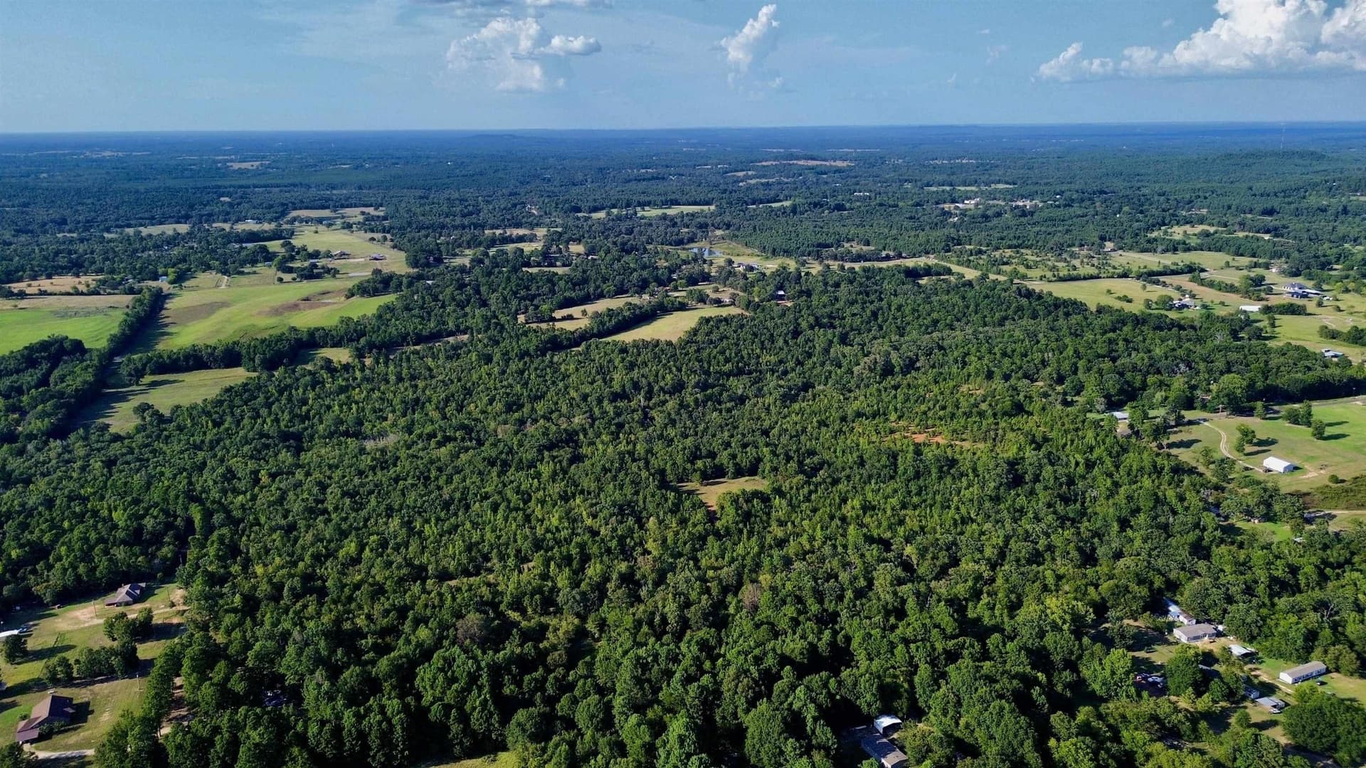 65.3 acres in Upshur County - photo 11