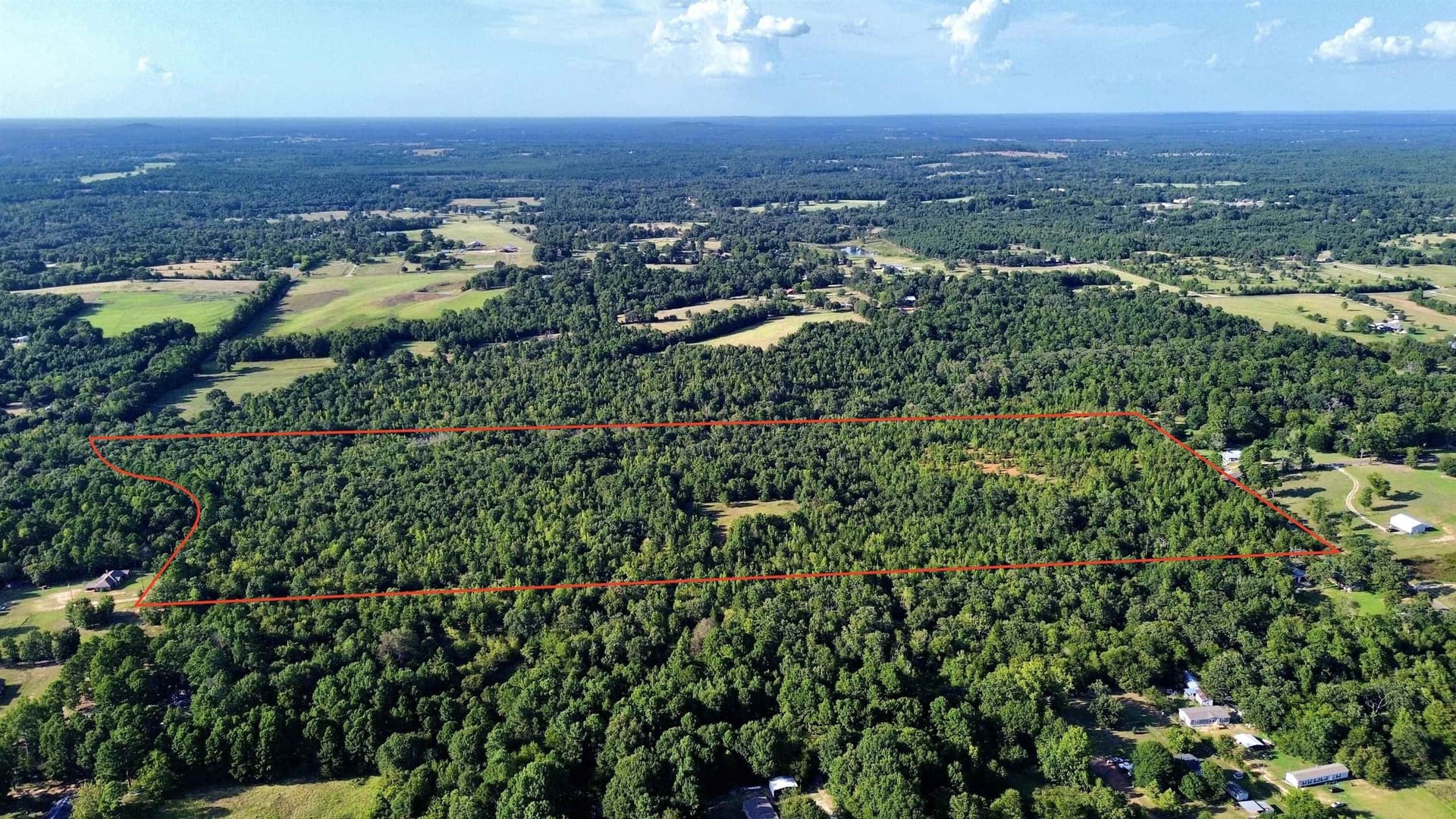 65.3 acres in Upshur County - photo 10