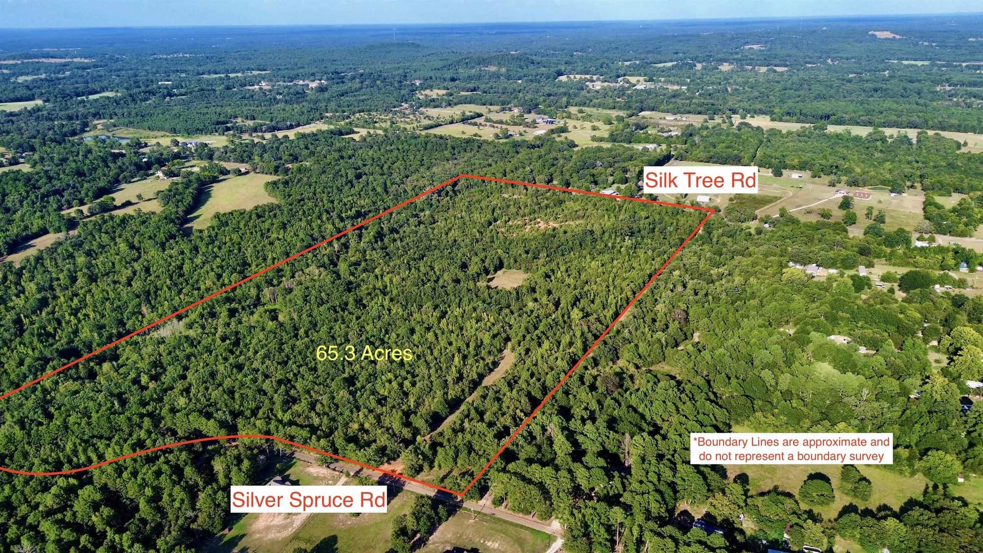 65.3 acres in Upshur County - photo 13