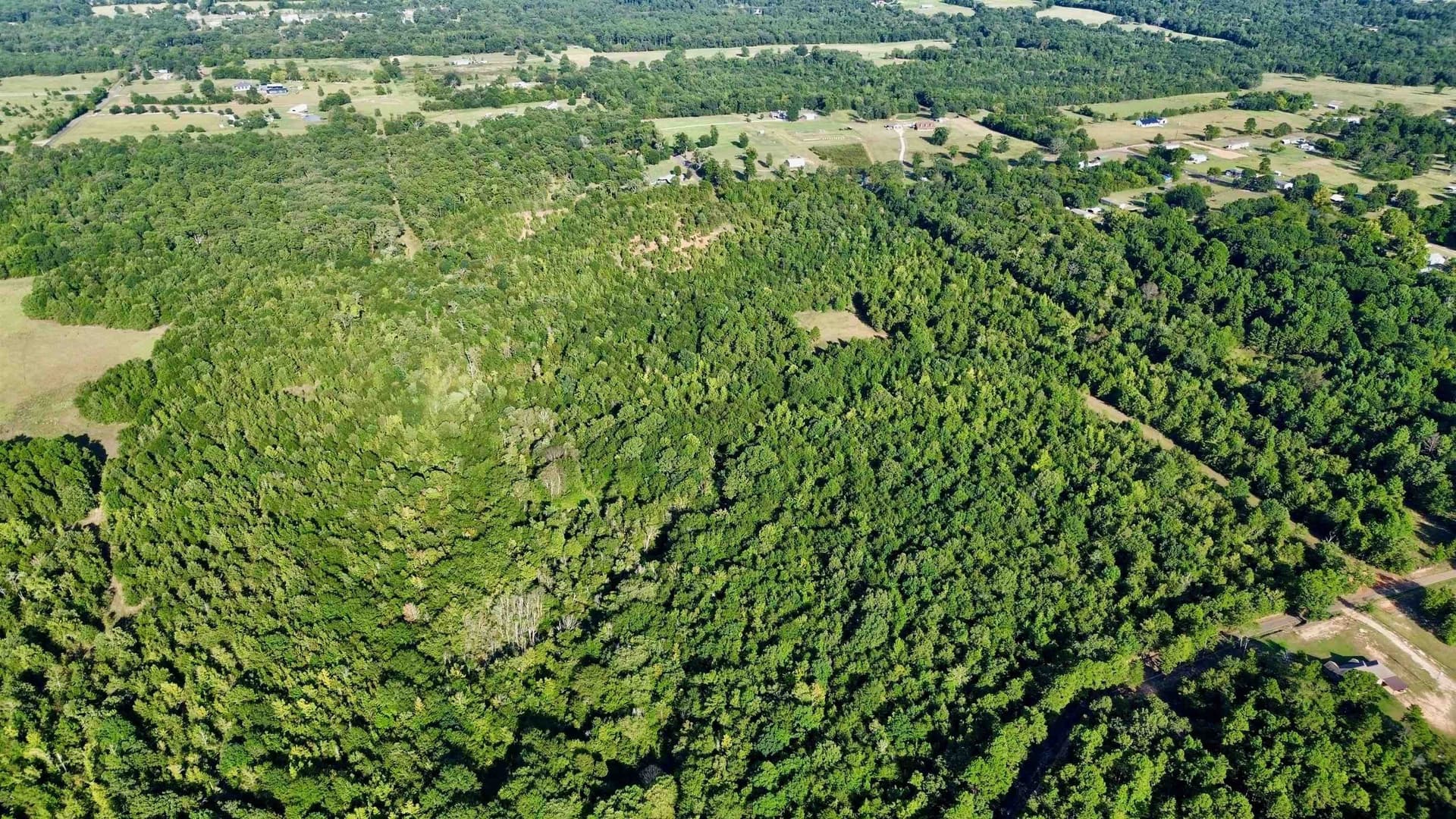 65.3 acres in Upshur County - photo 15