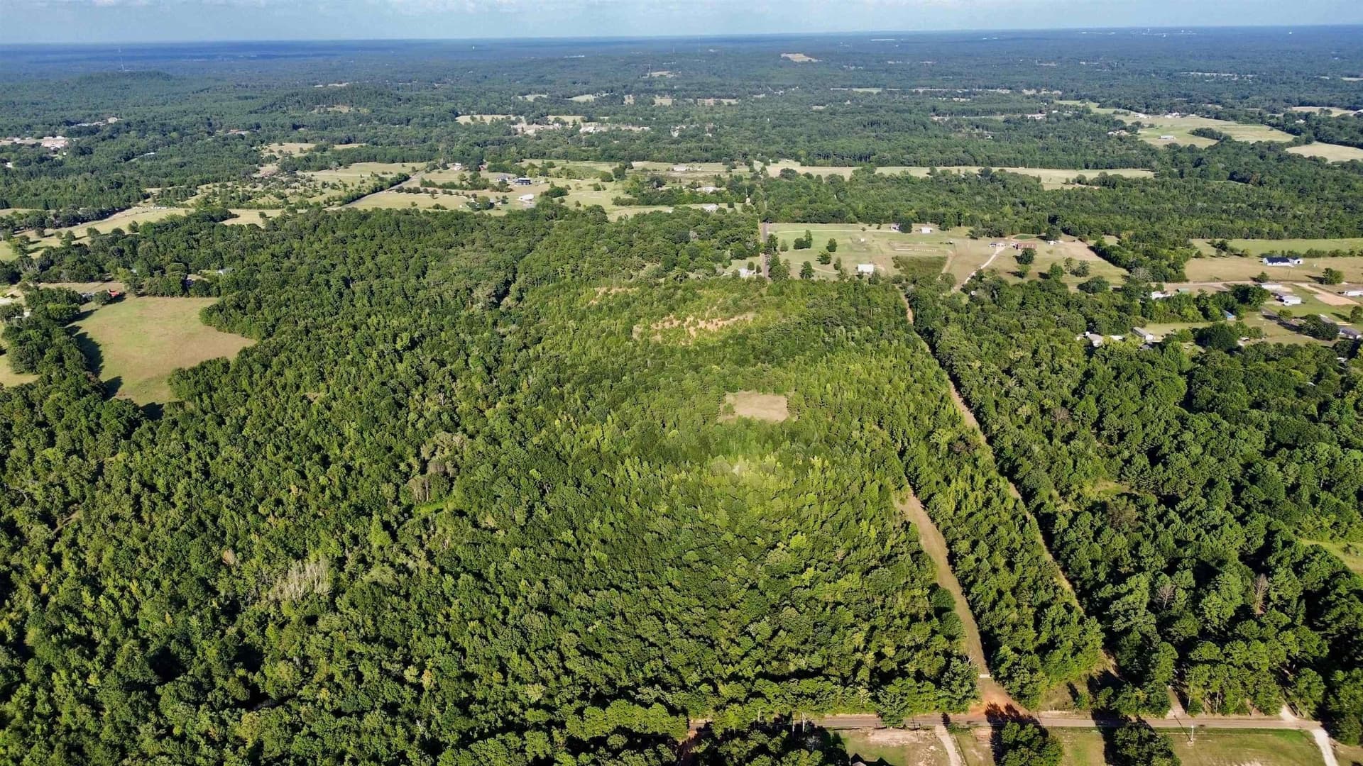 65.3 acres in Upshur County - photo 14