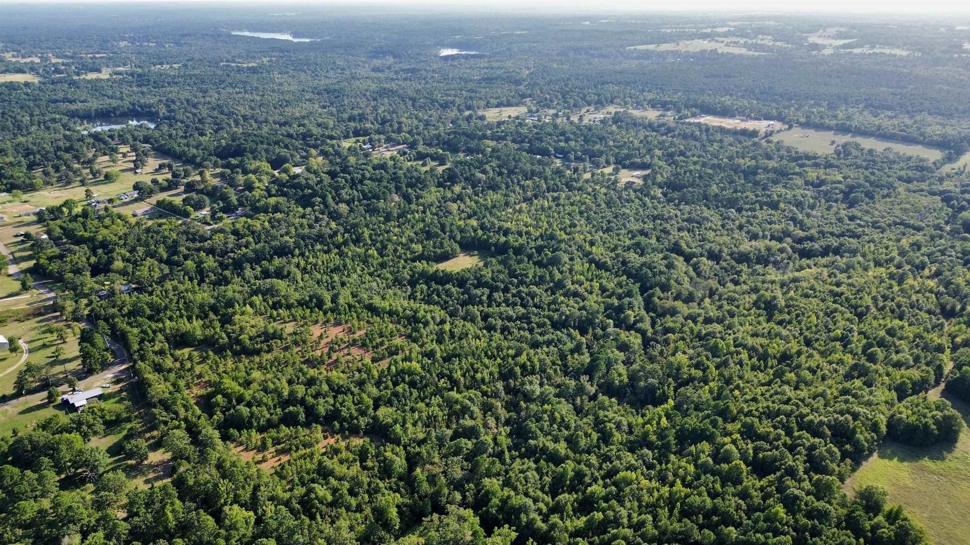 65.3 acres in Upshur County - photo 21