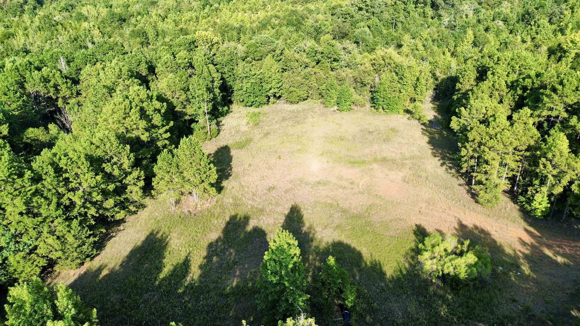 65.3 acres in Upshur County gallery image 4