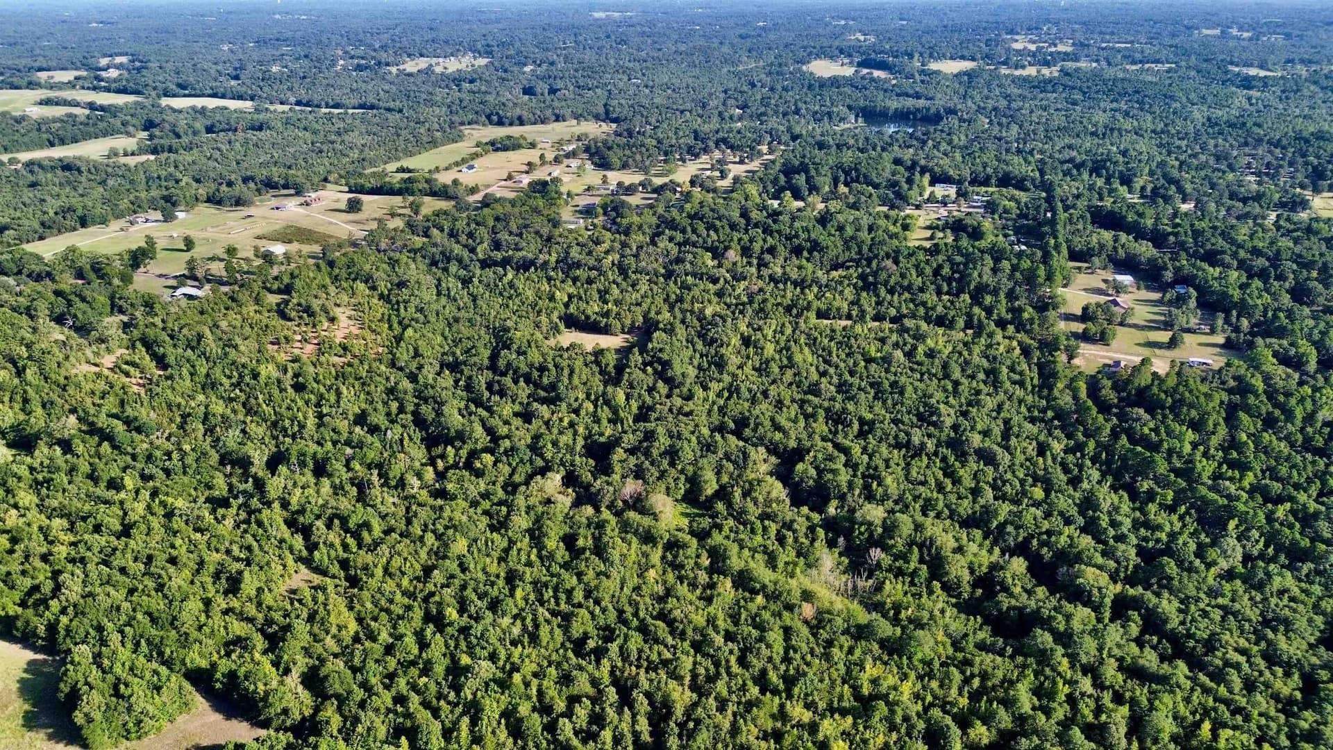 65.3 acres in Upshur County - photo 17
