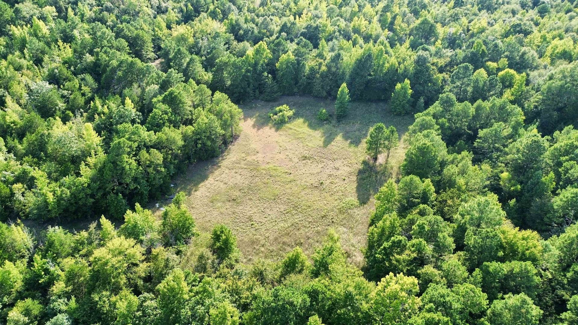 65.3 acres in Upshur County featured view