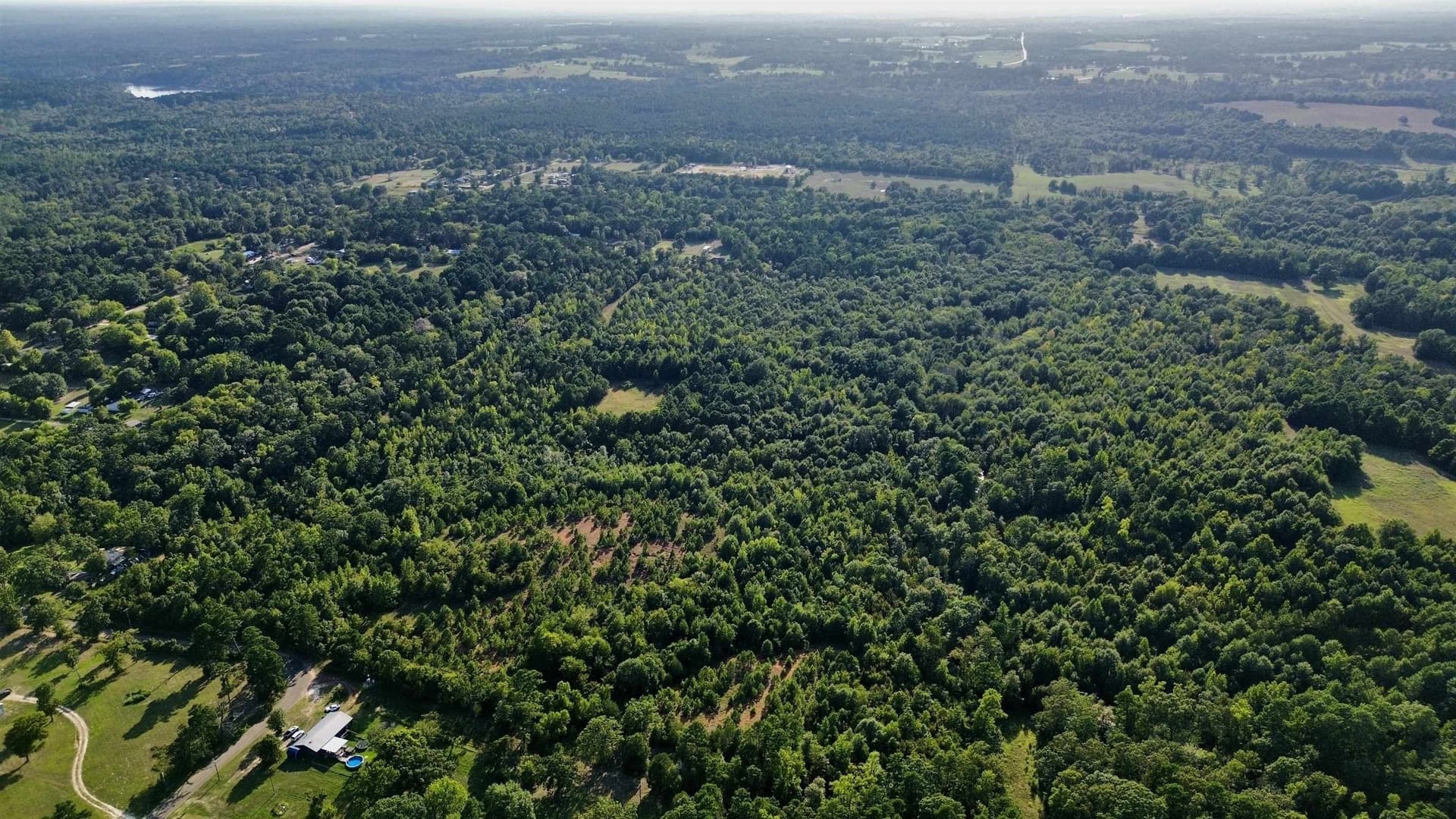 65.3 acres in Upshur County - photo 22