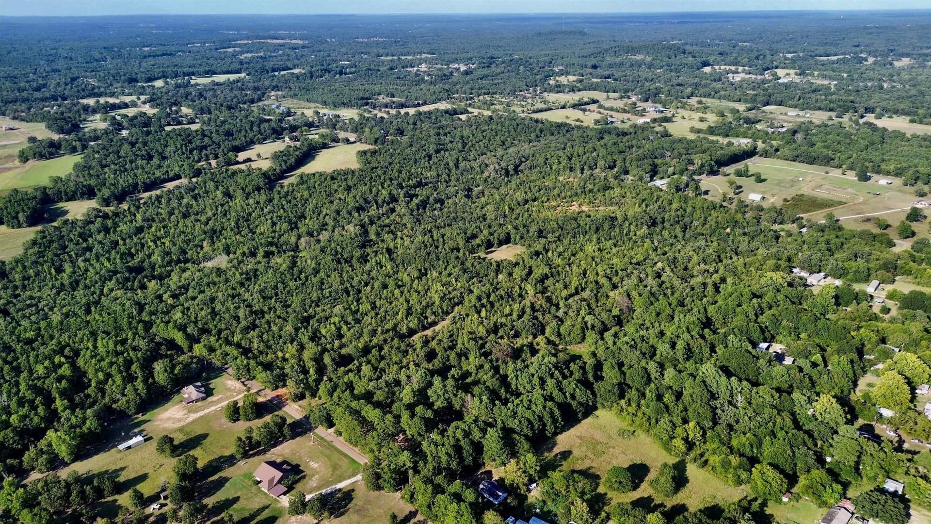 65.3 acres in Upshur County - photo 12