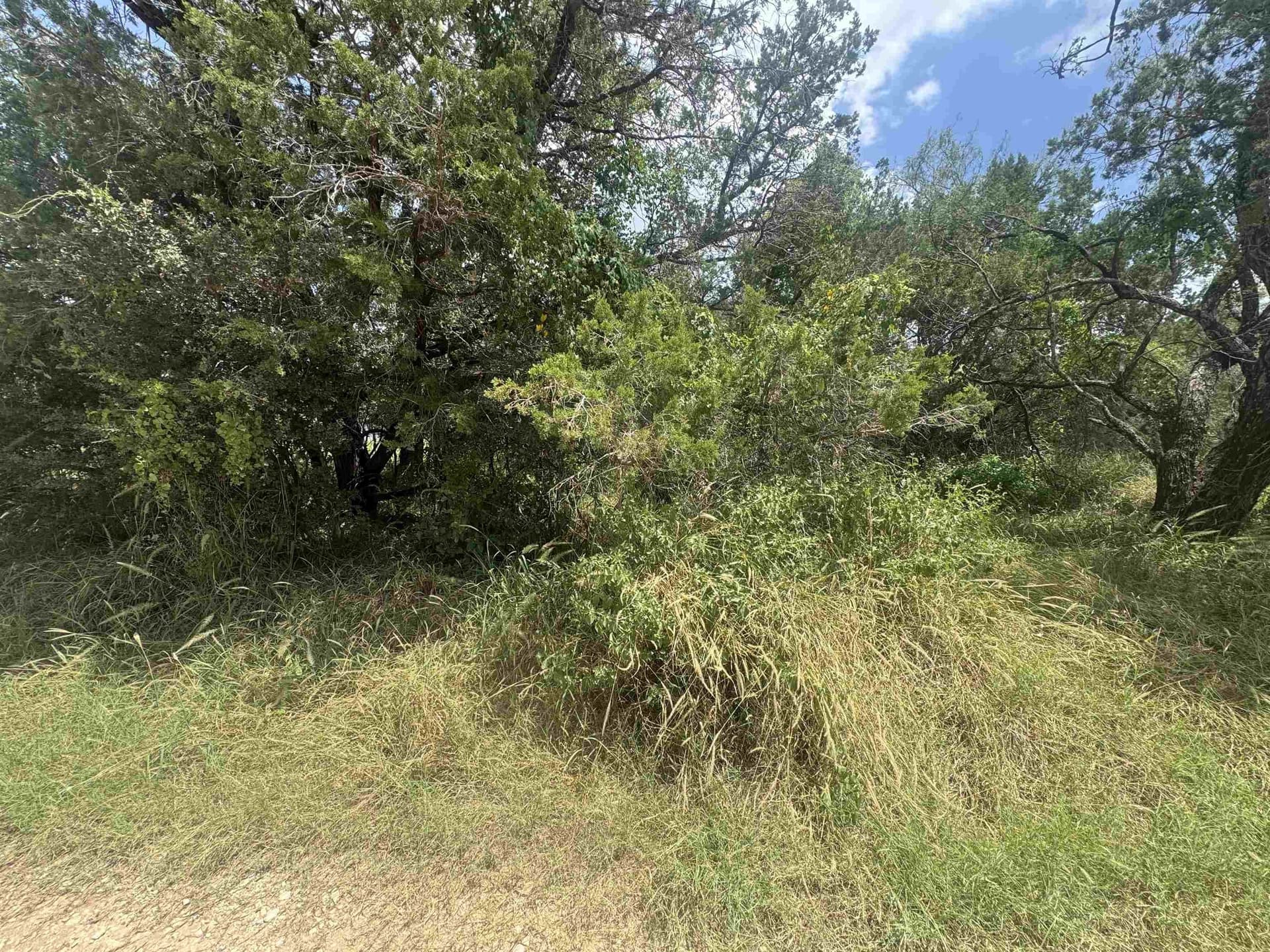 0.99 acres in Burnet County gallery image 2