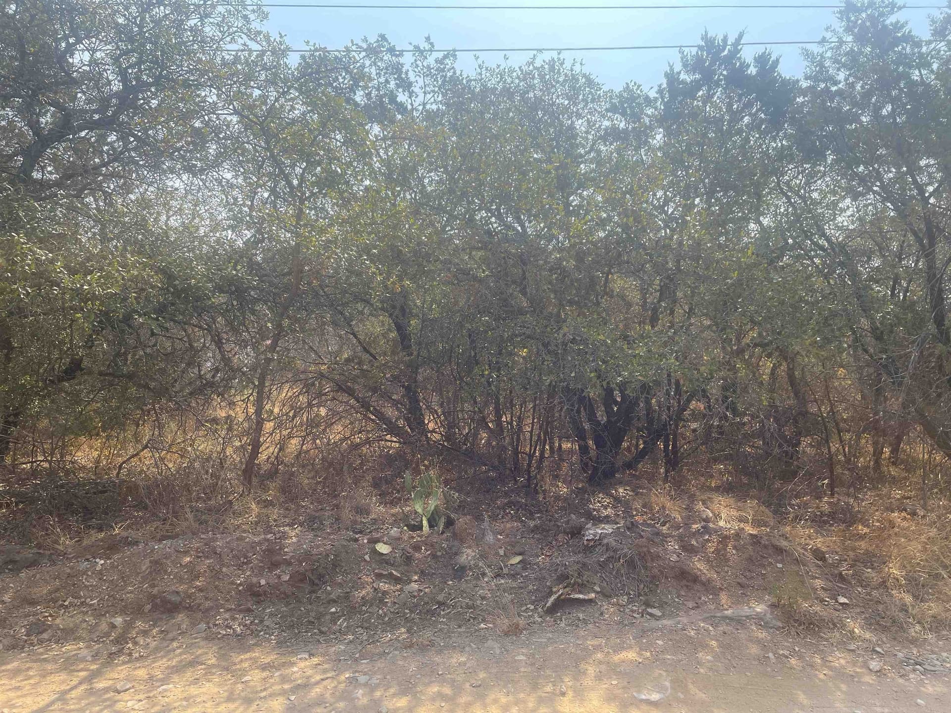 0.99 acres in Burnet County gallery image 4