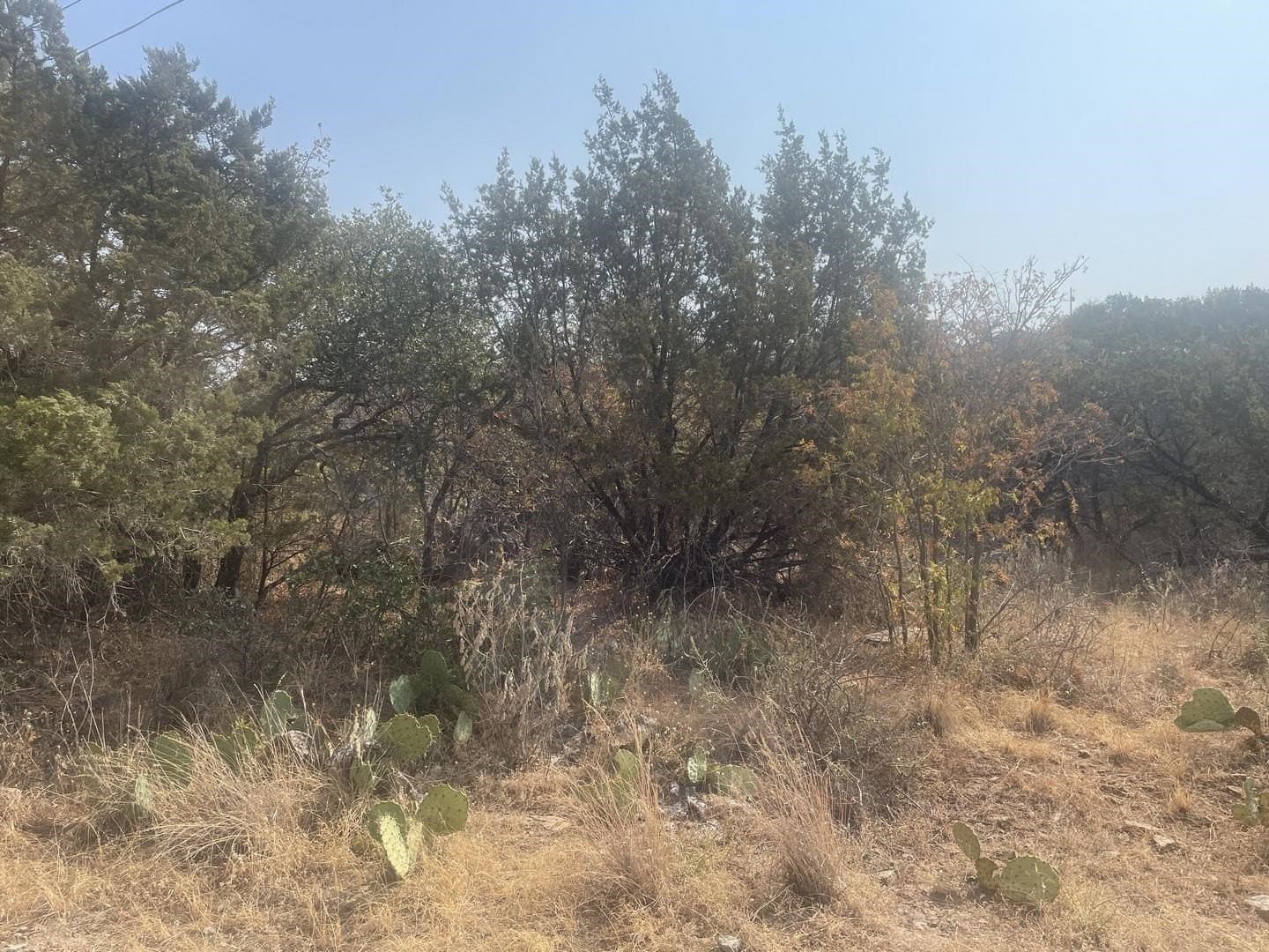 0.99 acres in Burnet County gallery image 3
