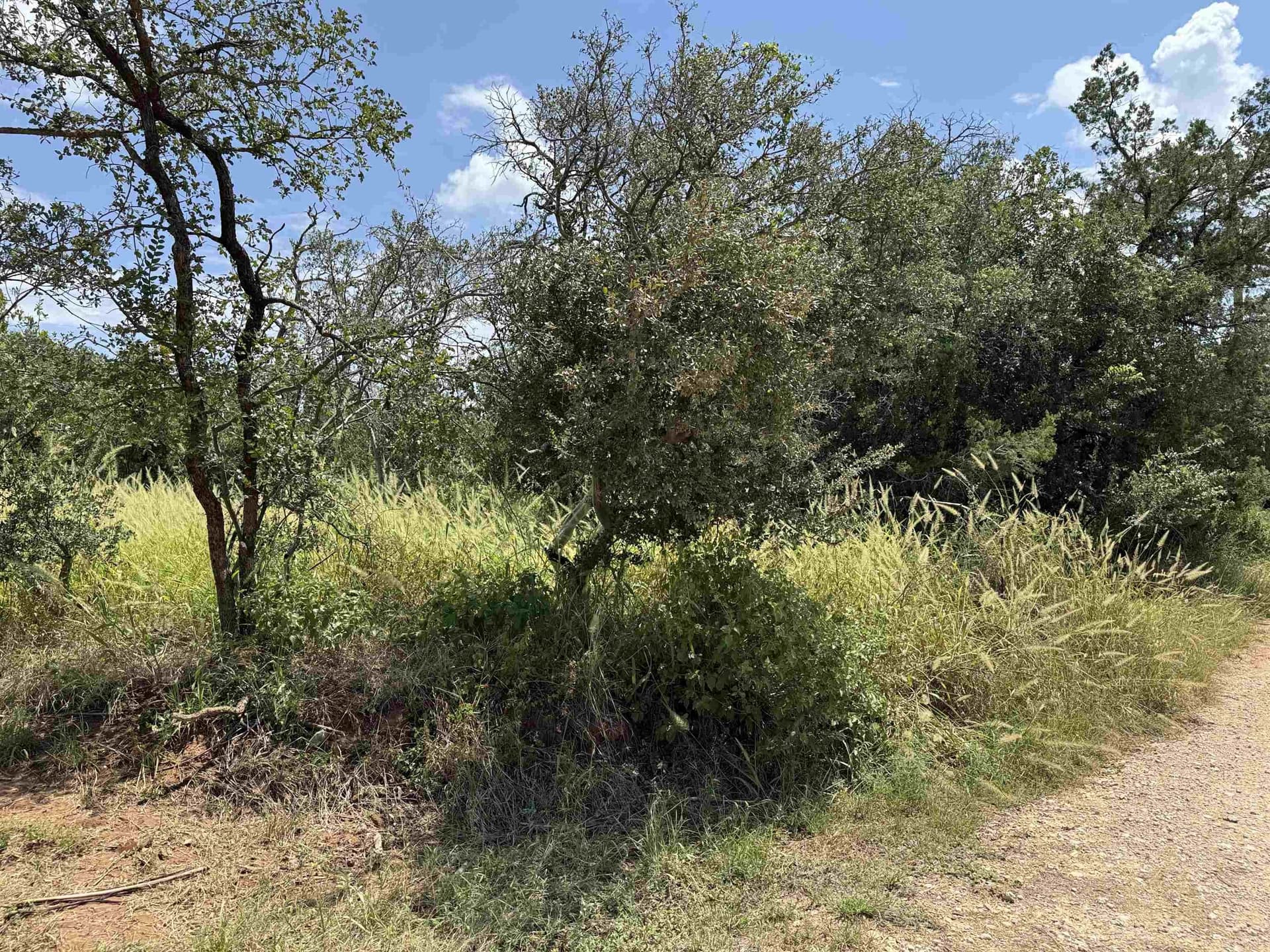 0.99 acres in Burnet County