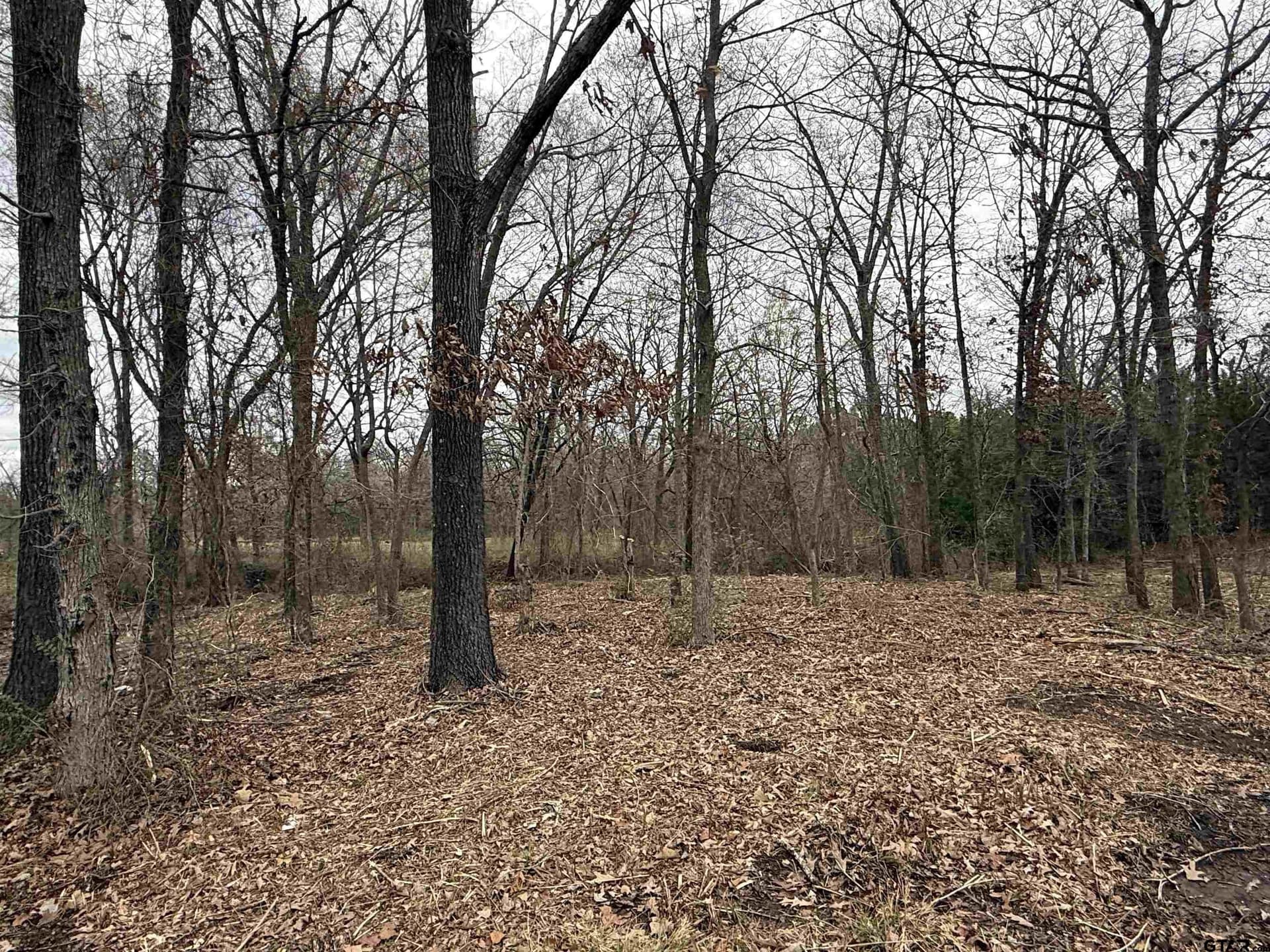 0.25 acres in Van Zandt County gallery image 3