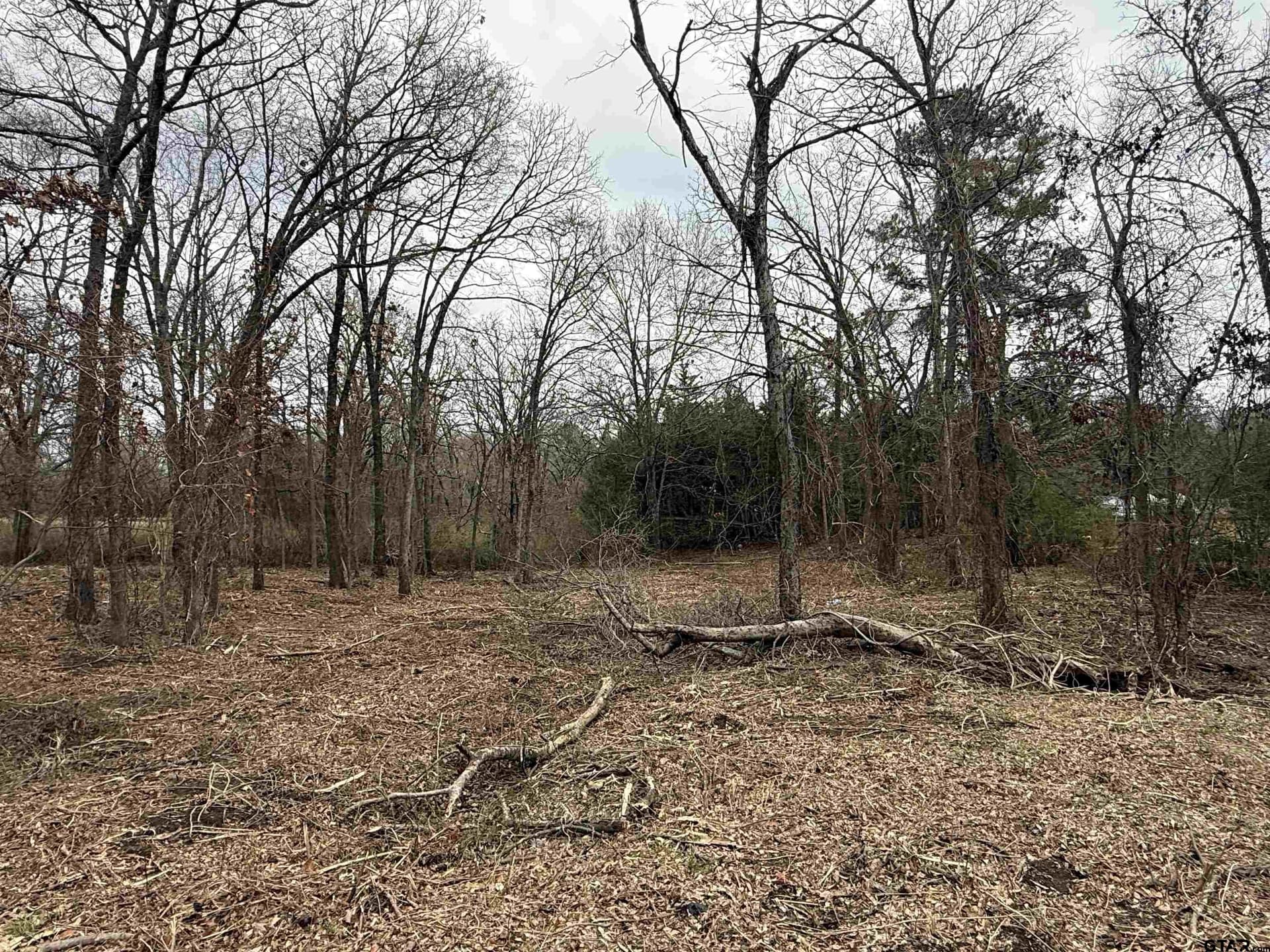0.25 acres in Van Zandt County featured view