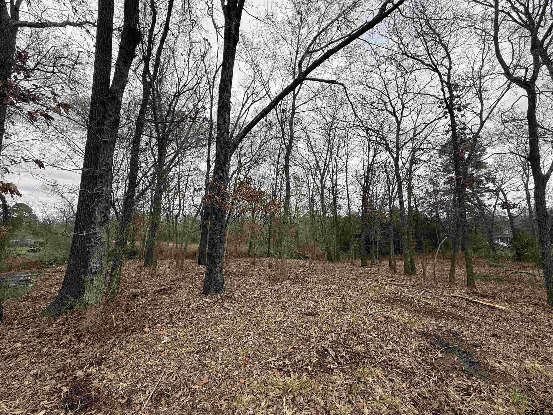0.25 acres in Van Zandt County gallery image 2